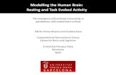 Modelling the Human Brain: Resting and Task Evoked Activity · Center for Brain and Cognition Universitat Pompeu Fabra Barcelona Spain Modelling the Human Brain: Resting and Task