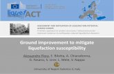New Ground improvement to mitigate liquefaction susceptibility · 2019. 11. 13. · Workshop on “Main outcomes from the LIQUEFACT project” A. Flora - Ground improvement to mitigate