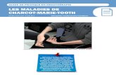 LES MALADIES DE CHARCOT-MARIE-TOOTH ... Charcot-Marie-Tooth (il en existe pr£¨s de 50 formes6,13), car