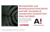 Nanoparticles and Nanostructures from Direct- and Self ... /media/documents/sebe/cost-action/event · PDF file (ALD) hybrids Xiaomin Lu Nanocell composites Biobased Colloids and Materials