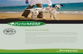 Pure Form of MSM - bergstromnutrition.com · MSM is 34.06% elemental sulfur, 25.52% carbon, 6.42% hydrogen and 34% oxygen. The Healthful Benefits of PurforMSM PurforMSM is a naturally-occurring