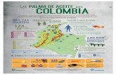 La palma de aceite en colombiaweb.fedepalma.org/sites/default/files/files/Infografía General de COLOMBIA.pdfLa palma de aceite en colombia Mayor información en la Dirección de