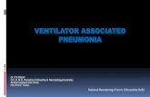 Ventilator associated Pneumonia · PDF file Incidence of VAP Pneumonia (VAP) is defined as nosocomial pneumonia in mechanically ventilated Ventilator-Associated patient that develops