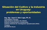 Situación del Cultivo y la Industria en Uruguay: problemas y … · 2013. 11. 21. · Situación del Cultivo y la Industria en Uruguay: problemas y oportunidades Ing. Agr. Juan E.