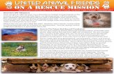 United Animal Friends 11-17 Newsletter.pdfThe print size will be your choice of standard sizes (4x6 , 5x7, 8x10 or 16x20). If you prefer, you may opt for a CD with the image sized
