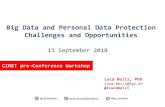 Big Data and Personal Data Protection Challenges and ......Big Data and Personal Data Protection Challenges and Opportunities 11 September 2018 CIRET pre-Conference Workshop Luca Belli,