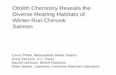 Otolith Chemistry Reveals the Diverse Rearing Habitats of Winter …scienceconf2016.deltacouncil.ca.gov/sites/default/files/... · 2016. 11. 17. · Corey Phillis, Metropolitan Water