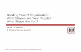 Building Your IT Organization: What Shapes are Your People ...€¦ · 3 Introduction Jamie Giovanetto Founder, President and Principal Consultant J. Giovanetto Incorporated A consultancy