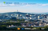2019 WORLD LNG REPORT - igu.org€¦ · 4 5 IGU World LNG report - 2019 Edition State of the LNG Industry 1 The scope of this report is limited only to international LNG trade, excluding