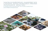 Safeguarding America's Lands and Waters from Invasive Species EDRR... · 2016. 2. 18. · v a national Framework for early detection and rapid response Foreword Invasive species pose