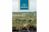 Managing Your Brushland for Wildlifefiles.dnr.state.mn.us/assistance/backyard/privatelandhabitat/brushla… · aspen parkland and stagnant conifer bogs, are native plant communities
