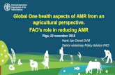 Global One health aspects of AMR from an agricultural ... · • CCRF Technical Guidelines: Prudent and Responsible Use of Veterinary Medicines • Bacterial diseases in Aquaculture