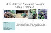 Class 1 Reptiles - Kansas 4-H ... 2010 State Fair Photography Judging Place this class of four photos