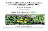 Edible Weeds and Foraging around Perth, Australia. · As we discussed before treat weeds as a super food, mix it with kale, root veggies, and other foods and you wont need the consider
