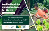 Rural livelihoods in a changing food system July 23, 2020 Webinar S… · 1 Rural livelihoods in a changing food system July 23, 2020 We will start on the hour A joint CGAP and ISF