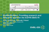 BioMedBridges: Providing research and data links between ...e-irg.eu/documents/10920/213799/5_2011_10_bmb_e... · EMBL-EBI Mission •To provide freely available data and bioinformatics