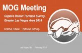 Captive Desert Tortoise Survey, Greater Las Vegas Area 2018...MOG Meeting Captive Desert Tortoise Survey, Greater Las Vegas Area 2018 Kobbe Shaw, Tortoise Group Las Vegas, NV February