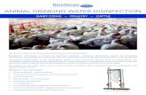 ANIMAL DRINKING WATER DISINFECTION...ANIMAL DRINKING WATER DISINFECTION DAIRY COWS — POULTRY — CATTLE TM BlueSense™ engineered dedicated solutions for animal drinking water.