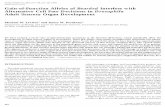 176, ARTICLE NO. 0133 Gain-of-Function Alleles of Bearded ...labs.biology.ucsd.edu/posakony/leviten_db96.pdf266 Leviten and Posakony Df(3R)Dl-X43 and Dl9P39 (Dl9P) were kindly provided