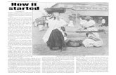 Page 4D SUNDAY STABROEK, March 19, 2017 How it started · 2017. 3. 3. · Page 4D SUNDAY STABROEK, March 19, 2017 deficiency, of which there is no indication in their countenance,