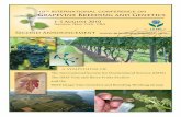 10TH INTERNATIONAL CONFERENCE ON Grapevine Breeding and ...hort.cornell.edu/.../pdf/ISHS_2ndAnnouncement.pdf · 2 International Society for Horticultural Science Cornell University