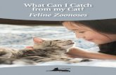 What Can I Catch from my Cat? · If a family member develops skin lesions your cat(s) should be evaluated by your veterinarian for this infection. Rabies This deadly virus is shed
