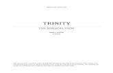 THE BIBLICAL VIEW · 2017. 7. 17. · TRINITY THE BIBLICAL VIEW Robert L Goldsby 2/7/2012 This document is a research paper dealing with the Biblical teaching of the doctrine of the