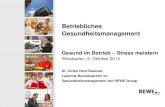 Betriebliches Gesu Betriebliches Gesundheitsmanagement Gesund im Betrieb – Stress meistern Wiesbaden, 9. Oktober 2014 Dr. Ulrike Hein-Rusinek, Leitende Betriebsärztin im Gesundheitsmanagement
