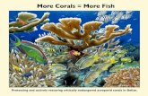 More Corals=More Fishfragmentsofhope.org/wp-content/uploads/2020/06/Coloring-Bk.pdf · But in recent years, healthy, living coral reefs have declined drastically in Belize, and all
