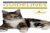 FELINE RETROVIRUS MANAGEMENT GUIDELINES · and animal shelters in North America. S. 6 American Association of Feline Practitioners Preventing FeLV and FIV Infection Vaccines are available