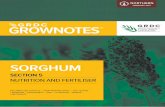 SORGHUM - Home - GRDC · seCtIon 5 SORGHUM fi- fl- February 2017 nutrition and fertiliser A balance of soil nutrients is essential for profitable yields. Fertiliser is commonly needed