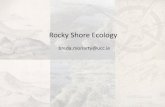 Rocky Shore Ecology - deepmapscork.ie€¦ · Ecosystems on rocky shores have bands of different species across the intertidal zone. The distribution of different species across the