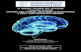 SOCIEDAD ESPAÑOLA DE NEUROCIRUGÍA SENEC · Review and perform endoscopic endonasal approaches to the anterior, middle and posterior skull base. Discuss the differences between microsurgical