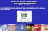MERCURY IN THE ENVIRONMENT: from smokestack to stomachacmg.seas.harvard.edu/presentations/2010/wisconsin.pdf · 2014. 6. 21. · MERCURY IN THE ENVIRONMENT: from smokestack to stomach