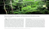 Resolving the Enigma of Rainforest Biodiversityarnoldia.arboretum.harvard.edu/pdf/articles/2019... · Rainforest Biodiversity 23 MacArthur and Wilson, are rarely achieved by plants,