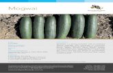 Mogwai - spssales.com.au · MOGWAI is a slicing cucumber with an extensive disease package with tolerances to Cucumber Mosaic (CMV), Papaya Ringspot (PRSV), Watermelon Mosaic (WMV),