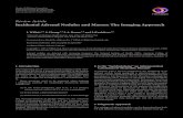 Review Article Incidental Adrenal Nodules and Masses: The ... · PDF file Incidental Adrenal Nodules and Masses: The Imaging Approach ... below the level of the adrenal glands making