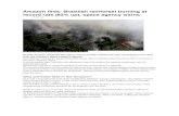 Amazon ﬁres: Brazilian rainforest burning at record rate ... to 300 dpi... · Brazil's Amazon rainforest has seen a record number of ﬁres this year, according to new data from