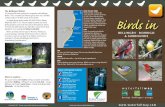 The Bellingen Birders Birds in · the New England Tableland. Find yourself in Australia’s best semi-tropical climate, midway between Sydney and Brisbane on the sun soaked Coffs