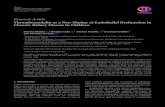 Thrombomodulin as a New Marker of Endothelial Dysfunction ...downloads.hindawi.com/journals/omcl/2018/1619293.pdftion of shed endothelial surface layer components—soluble thrombomodulin