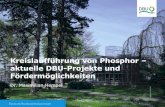 Kreislaufführung von Phosphor aktuelle DBU-Projekte und … · Helmholtz-Zentrum für Umweltforschung GmbH - UFZ, Frau Prof. Dr. Müller CENTEC, Herr Koukol; Fördermittel: 124.252