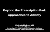 Beyond the Prescription Pad: Approaches to Anxiety · 2016. 4. 27. · Anxiety disorders are extremely common 40 million American adults per year (18% of our total population) Children