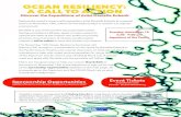 OCEAN RESILIENCY: A CALL TO ACTION - C Gallery Fine Art · OCEAN RESILIENCY: A CALL TO ACTION Discover the Expeditions of Artist Danielle Eubank E D E N xplor environment. D captur