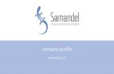 company profile - ITALIA SOLARE · Samandel S.p.A. company profile . La Mission 2 Samandel Spa è una Società di Servizi Energetici (SSE) certificata ISO 9001:2015 ed UNI CEI 11352:2014