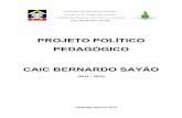 PROJETO POLÍTICO PEDAGÓGICO CAIC BERNARDO SAYÃO · Instituições da rede pública do Distrito Federal. 3 – MAPEAMENTO INSTITUCIONAL 3.1- CONTEXTO EDUCACIONAL A Proposta Político