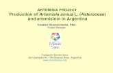 ARTEMISIA PROJECT Production of Artemisia annua L ... 30¢°C; 40 RPP; 2 hs MARC 1 Chloroform 10 + 30¢°C;