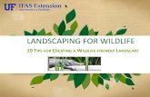 LANDSCAPING FOR WILDLIFE - Solutions for Your Lifesfyl.ifas.ufl.edu/media/.../landscaping-for...2020.pdf · •Landscaping to attract wildlife: –brings nature close by welcoming