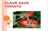 avilajerly.files.wordpress.com€¦  · Web viewFLAVR SAVR TOMATO. First genetically engineered crop granted license for human consumption. Produced by Californian company Calgene