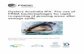 Oysters Australia IPA: The use of FRNA bacteriophages for ...frdc.com.au/Archived-Reports/FRDC Projects/2015-037-DLD.pdf · Oysters Australia IPA: The use of FRNA bacteriophages for