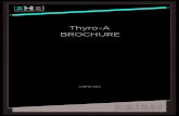 Thyro A BROCHURE - BHBbhb.pt/en/images/Produtos/Energia/Reguladores_de... · 2018. 1. 15. · Thyro-A TechnicAl dATA (excerpT) Key features Besides wear-free operations and high performance